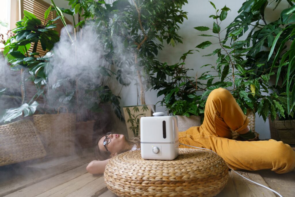 Increase Humidity house plants humidifier